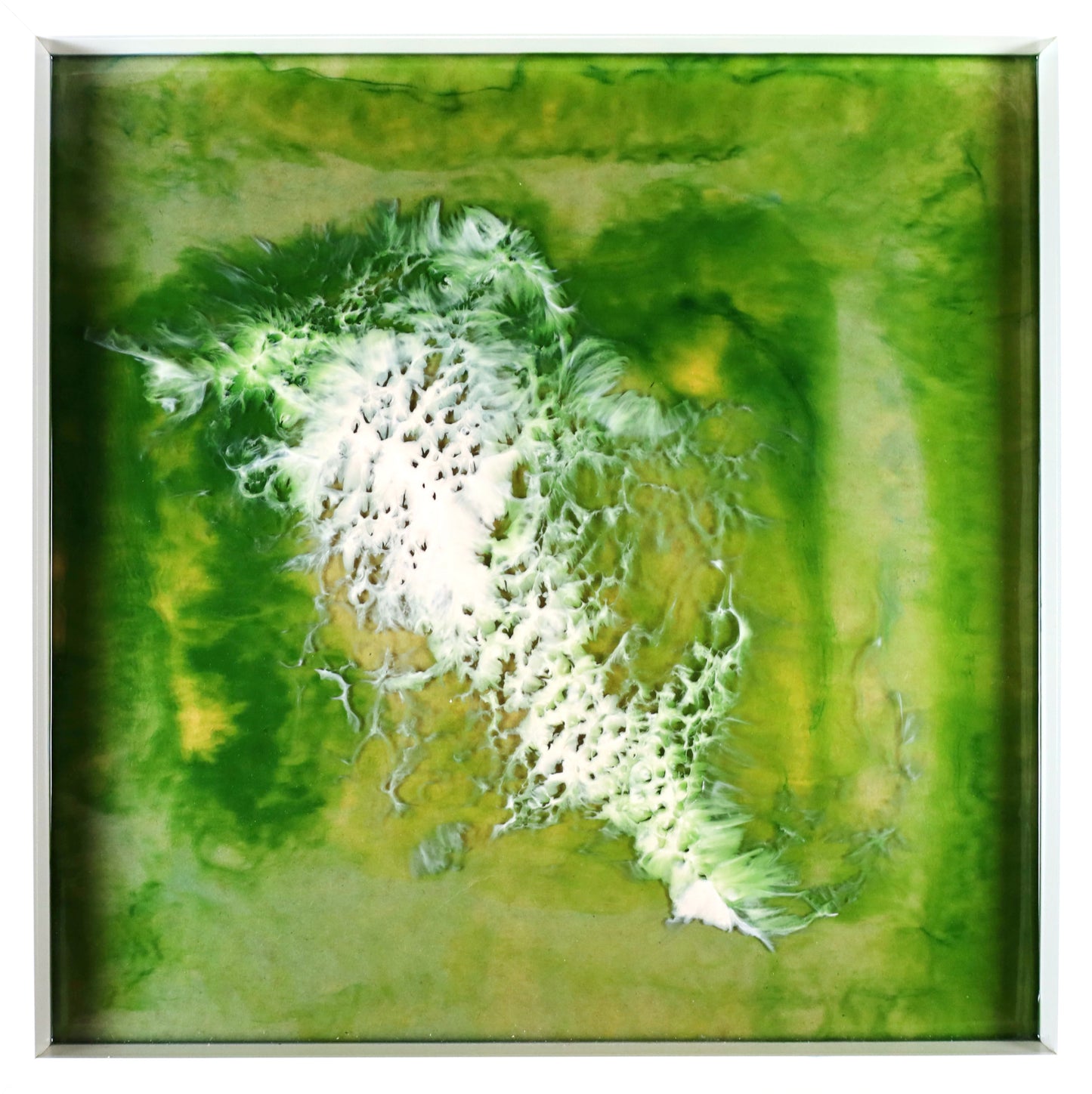 Mossland - 52x52 - Djup kant